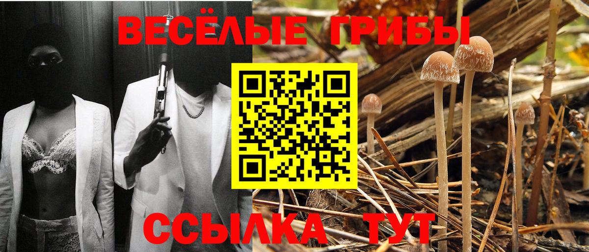 Псилоцибиновые грибы Magic Shrooms  Вход с VPN  дарнет шоп  Иваново 
