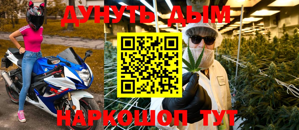 Конопля конопля Иваново